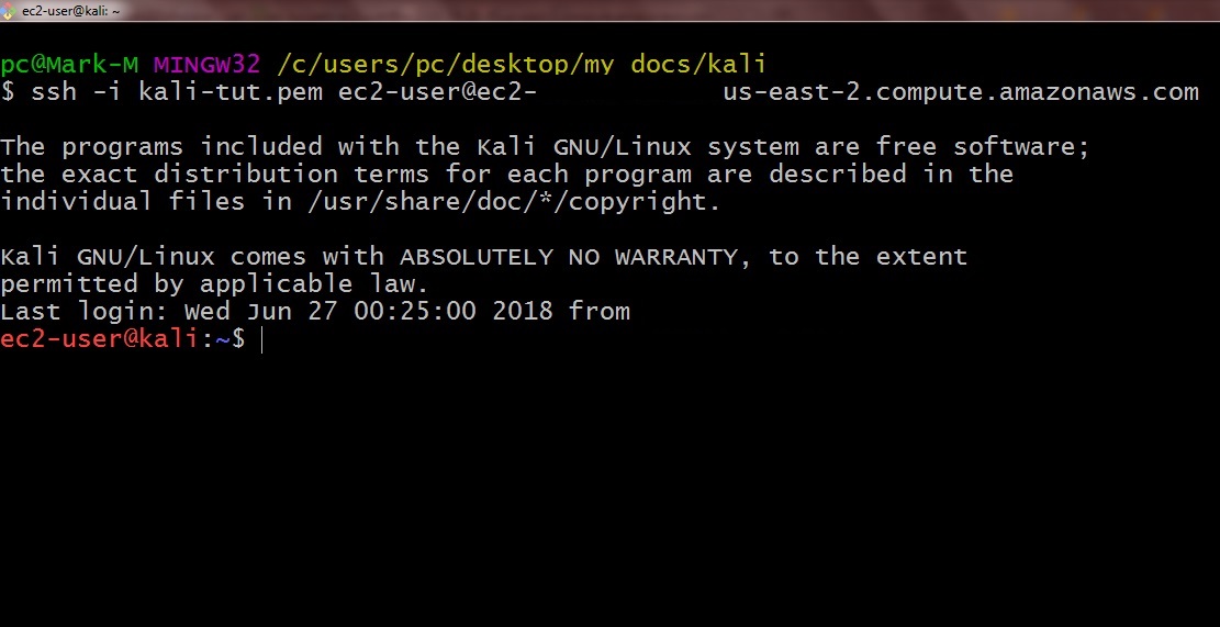 Connection to Kali Linux AWS Instance established
